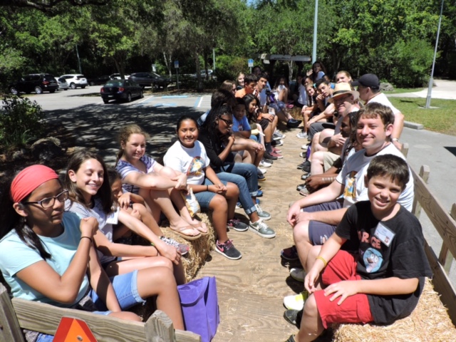 Camp VITAS members enjoying a hayride